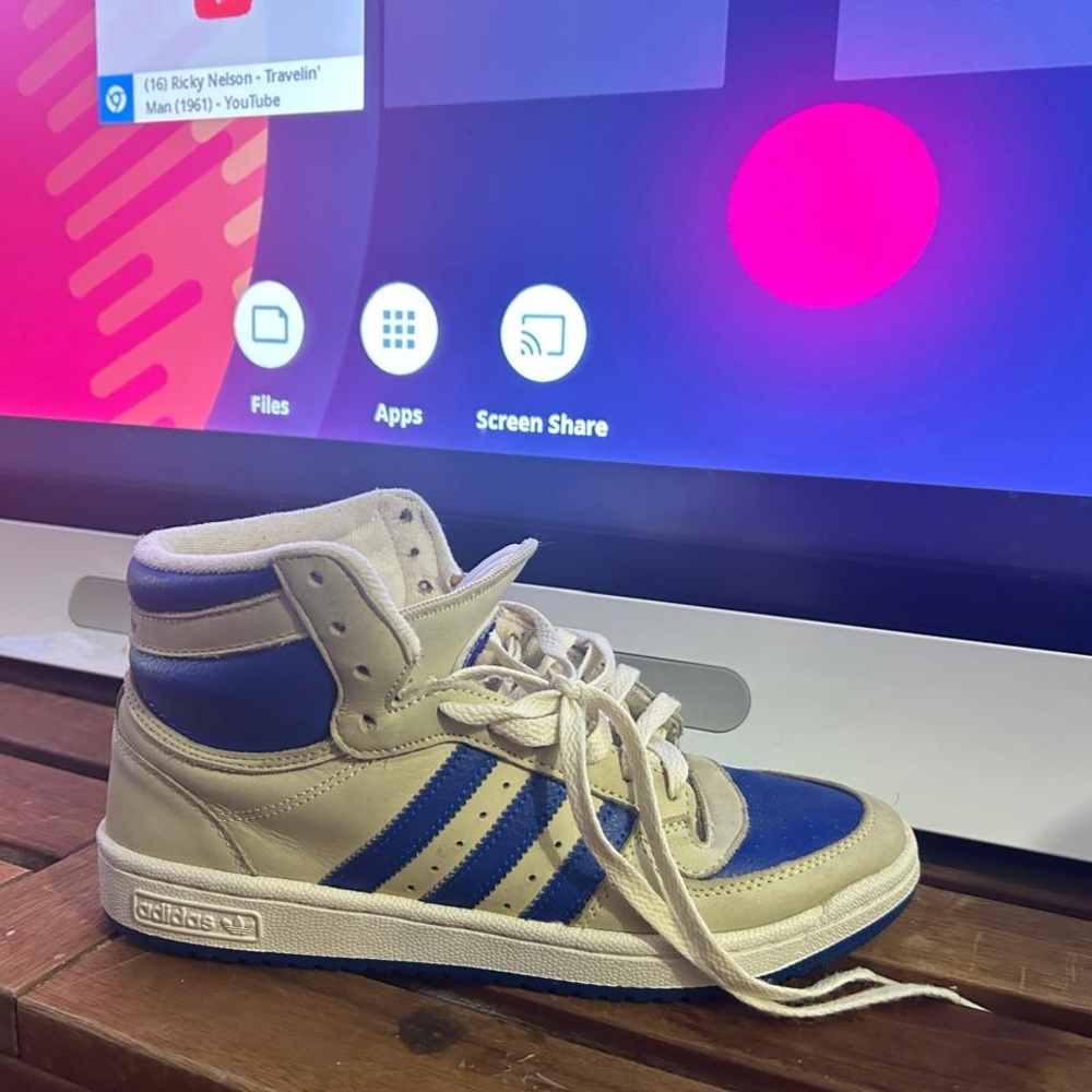 Adidas High-Top Sneakers in Blue and White